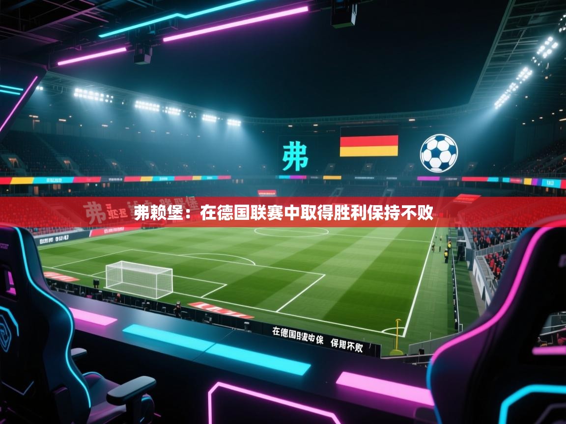 弗赖堡:在德国联赛中取得胜利保持不败 第1张