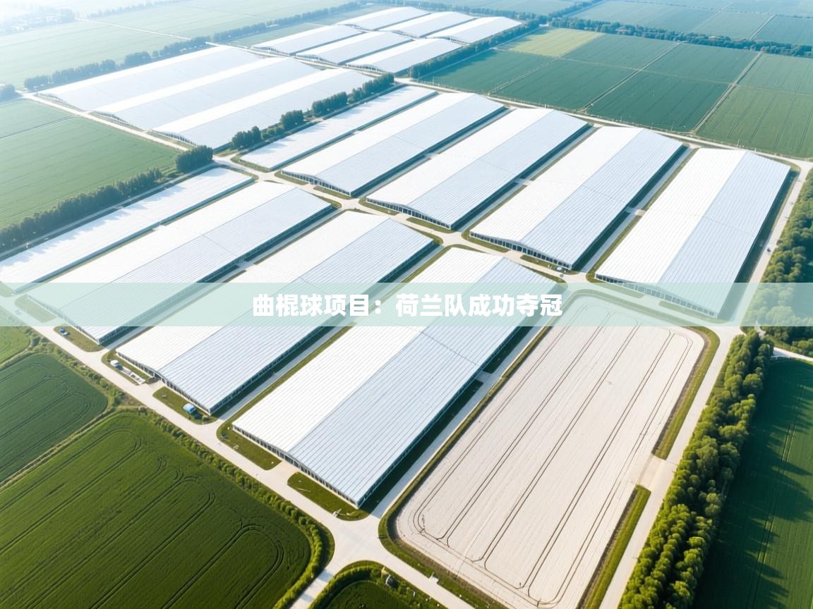 曲棍球项目：荷兰队成功夺冠  第2张