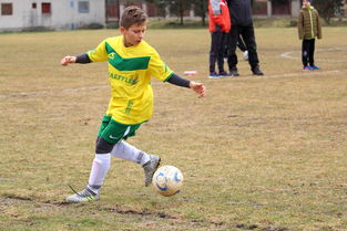 爱游戏入口-尼姆再次遭遇惨败，战绩滑落不可收拾