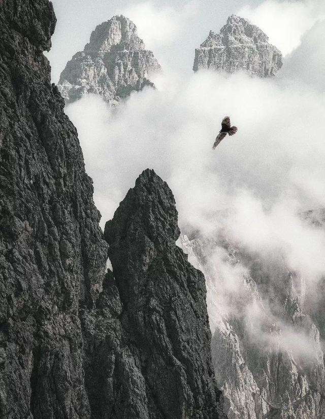 包含永不言弃:球场上的勇士们将散发无限魅力的词条 包含永不言弃:球场上的勇士们将散发无限魅力的词条